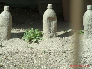 20120402-GEDC0083