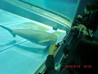 20100315-CIMG1081���ʥ�ꣲ