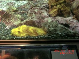 20120106-CIMG0525