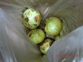 20110408-CIMG0746