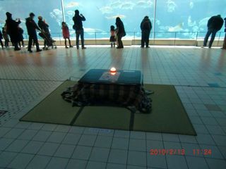 20100214-CIMG0547掘り炬燵
