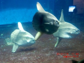20120106-CIMG0544