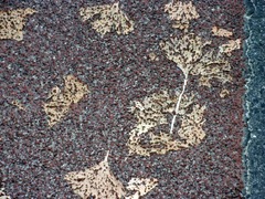 20120102c-P1010581