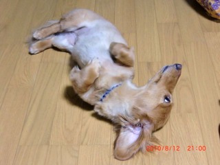 20100812-CIMG2295