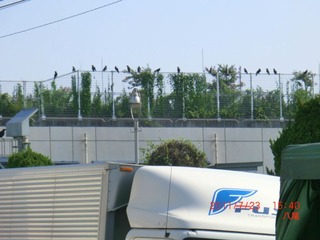 20111005-CIMG0059