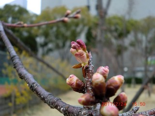 20110225-CIMG0225