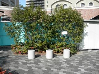 20120130a-P1300817
