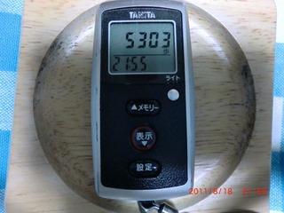 20110818-CIMG1521_5303