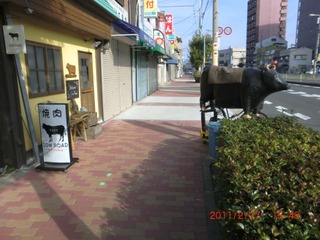20110227-CIMG0265