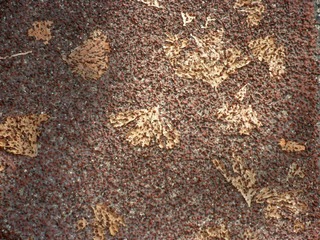 20120117-P1170724