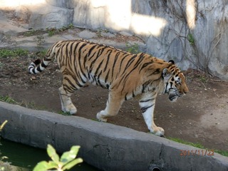 20111123-PB220093