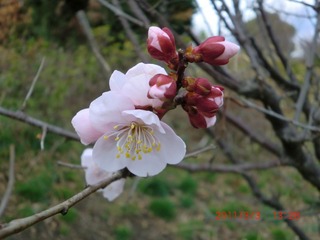 20110303-CIMG0288