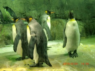 20100924-CIMG2375
