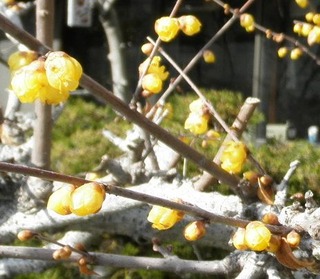 20110130-01a