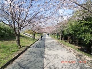 20100329-CIMG1298巽東緑地