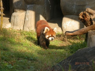 20111123-PB220104