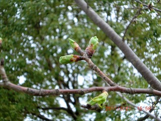 20110321-CIMG0447