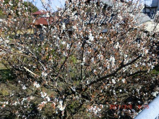 20110305-CIMG0303