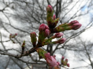 20120331-P3310951