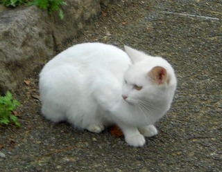 20111025-DSCN0215