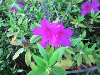 20110421-CIMG0885