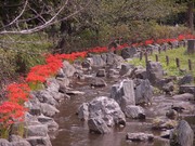 東綾瀬公園2
