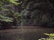 自然教育園