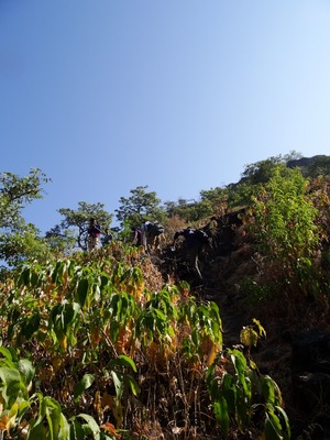DSC02167 (600x800)