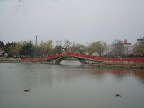 DSCN8229
