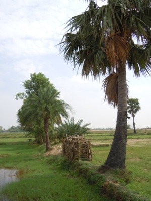 DSCN2694