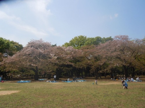DSCN8102