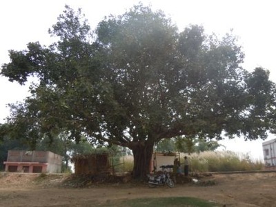 DSCN4689
