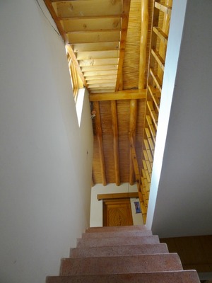 DSC04952 (600x800) (2)
