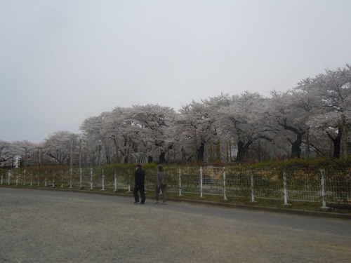 DSCN8227