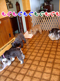 4ワンa