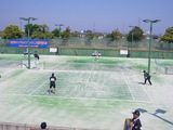 柴田−川村