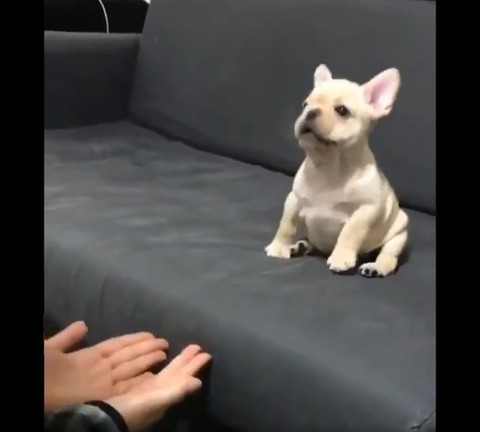 2018y09m10d_235314030