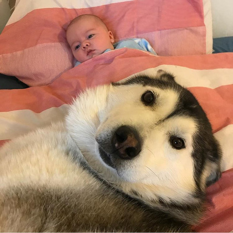 hvIXGVQ