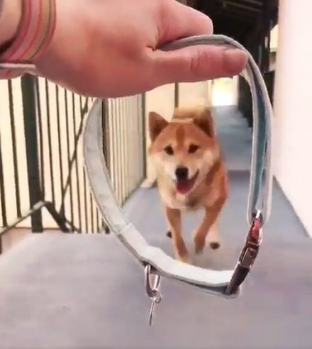 2018y07m16d_005423996