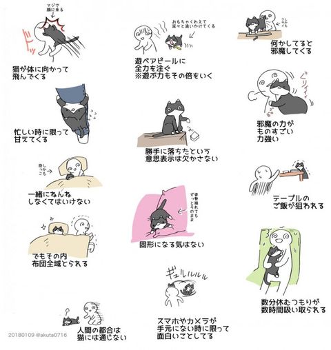 Twitter/@akuta0716