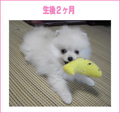 blog-pose-299-2