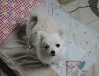blog-pose-357