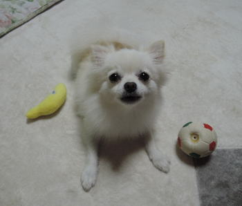 blog-pho-071-1