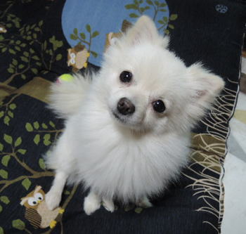 blog-pho-044
