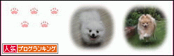 deco_blog_with2_net-1