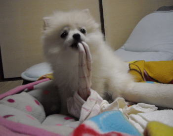 blog-pose-303