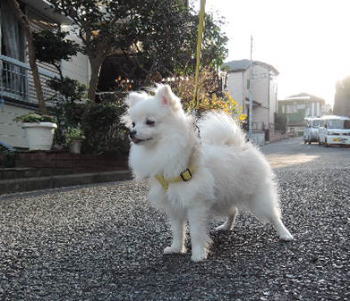 blog-pose-387-2