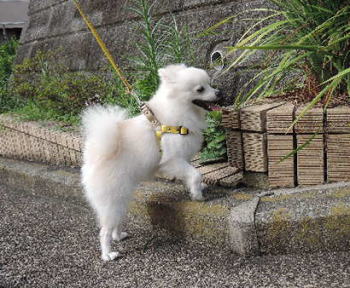 blog-pho-011-1