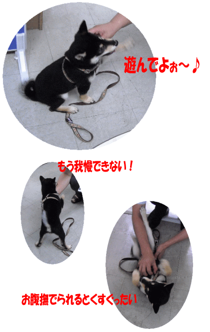 タスケ君