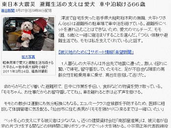被災地のモモちゃん